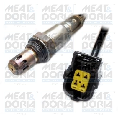 Oxygen Sensor